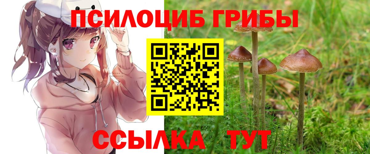 наркотики  Вход с VPN  Великие Луки  Галлюциногенные грибы мицелий 